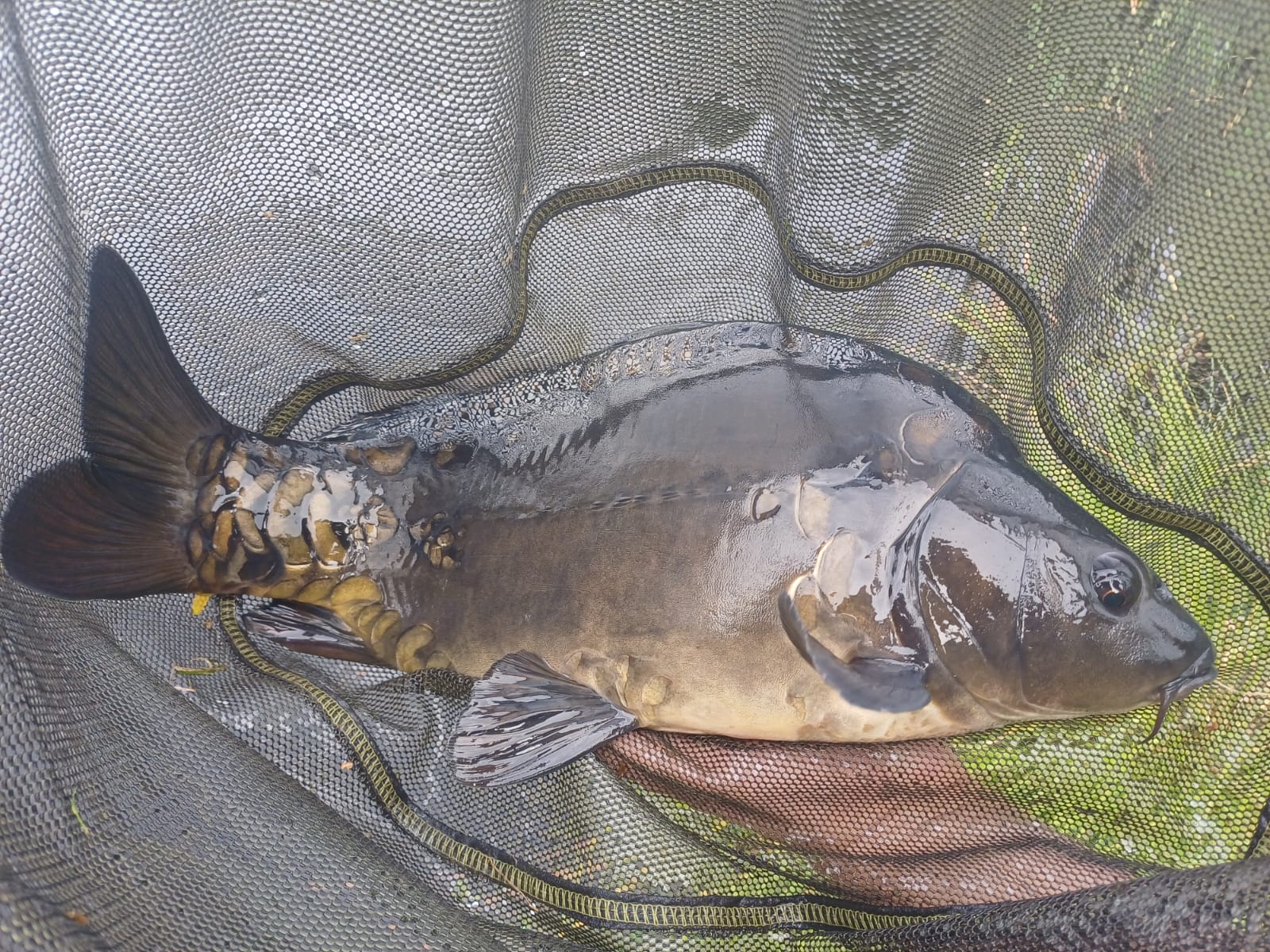 Sezon 2025 WhatsApp 108